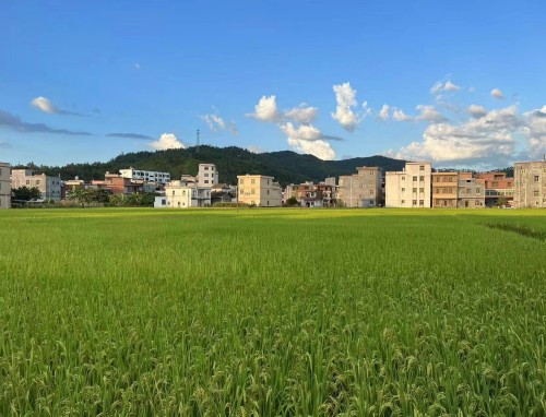 菲律宾VS关岛直播_菲律宾VS关岛菲律宾VS关岛免费直播在线直播